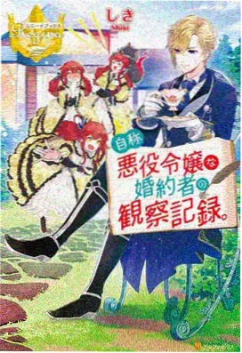 同人动画 第三阶段档案封面:阵营对峙的战场画面