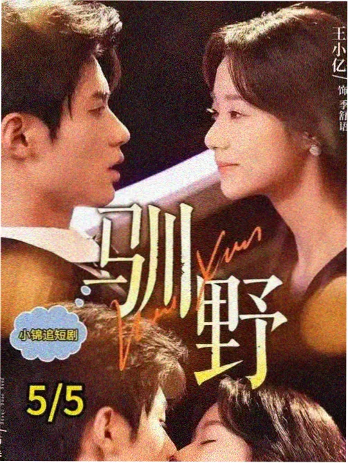 同人动画 名场面剧照:分屏呈现的频道刷屏